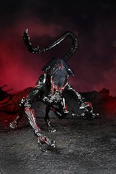 キングエイリアン ヒックス ケナー フィギュア NECA ネカ 新品 fS7O NECA ネカ エイリアン 7インチ アクションフィギュア シリーズ